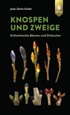 Knospen und Zweige Knospen und Zweige
