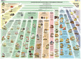 Poster Pilzsystematik (digital) Poster Pilzsystematik (digital)