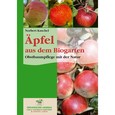 Äpfel aus dem Biogarten Äpfel aus dem Biogarten