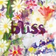 Bliss Audio CD Bliss Audio CD