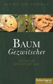 Baum Gezwitscher Baum Gezwitscher