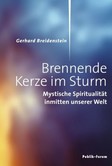 Brennende Kerze im Sturm Brennende Kerze im Sturm