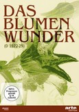Das Blumenwunder, DVD Das Blumenwunder, DVD