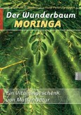 Der Wunderbaum Moringa Der Wunderbaum Moringa