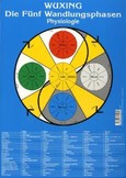 Die Fünf Wandlungsphasen: Physiologie Die Fünf Wandlungsphasen: Physiologie
