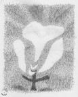 Die Paradoxale Malschule: Der Tierkreis - Widder (Postkarte) Die Paradoxale Malschule: Der Tierkreis - Widder (Postkarte)