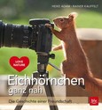 Eichhörnchen ganz nah Eichhörnchen ganz nah