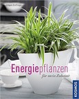 Energiepflanzen für mein Zuhause Energiepflanzen für mein Zuhause