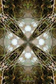 Fuss-Chakra - Element Erde Fuss-Chakra - Element Erde