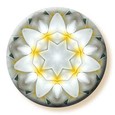 Imagami-Button Tempelblume Imagami-Button Tempelblume