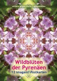 Imagami-Postkarten-Mappe Wildblüten der Pyrenäen (12 imagami Postkarten) Imagami-Postkarten-Mappe Wildblüten der Pyrenäen (12 imagami Postkarten)