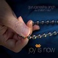 Joy is Now Audio CD Joy is Now Audio CD