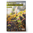 Knallmasse Knallmasse