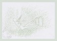 Logos Gradualis - Venus »Mondentaube« (Postkarte) Logos Gradualis - Venus »Mondentaube« (Postkarte)