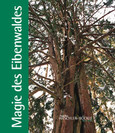 Magie des Eibenwaldes Magie des Eibenwaldes