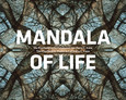 Mandala of Life Mandala of Life