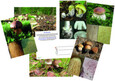 Pilz-Memory einmal anders Pilz-Memory einmal anders