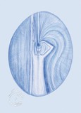 Planeteneurythmie - Saturn (Postkarte) Planeteneurythmie - Saturn (Postkarte)
