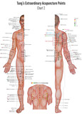 Set Chart 1+2 Tung's Extraordinary Acupuncture Points on the regular channels, Poster Set Chart 1+2 Tung's Extraordinary Acupuncture Points on the regular channels, Poster