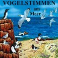 Vogelstimmen am Meer Audio CD