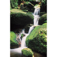 Wasserfall-Poster "Shun Sui" Wasserfall-Poster "Shun Sui"