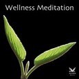 Wellness Meditation Audio CD Wellness Meditation Audio CD