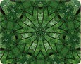 Yoga im Einklang mit dem Alltag - Nackenentspannung, Audio CD Yoga im Einklang mit dem Alltag - Nackenentspannung, Audio CD